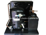 Tecumseh Condensing Units for Cold Storage