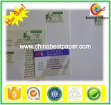 55-120g Uncoated Offset Printing Paper