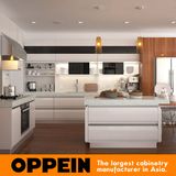 Vietnam Project Lacquer Large Modern Kitchen Cabinet (OP15-L22)