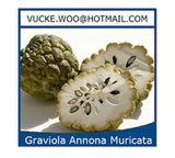 Graviola Annona Muricata Fruit Powder