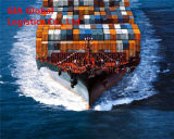 Sea Shipping Container Freight From China to Sweden