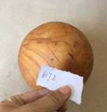 Newly and High Quality Wooden Root Ball