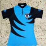 Custom Cheap Price All Kinds Polo Shirt