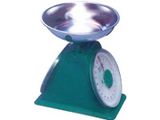 Spring Scale