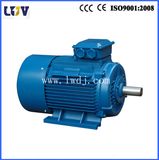 Y2 Electric Motor