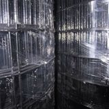 PVC Coated Galvanized Welded Wire Mesh