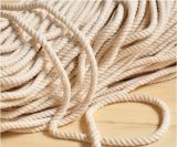 Factory Directly Shipping 100% Cotton Twisted Rope