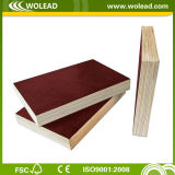 Poplar Core Bintangor Plywood for Packing or for Furniture (w15442)