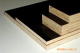 Excellent Factory to Produce The Black Color Film Faced Plywood (1220x2440)