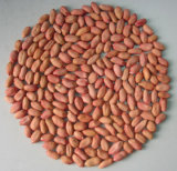High Quality/New Crop Peanut Kernals
