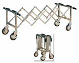 Stainless Steel Trolley