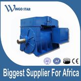 Three Phase Electric Motor