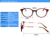 T1019 Best Sold Fashion Top Tr90 Optical Frames Eyewear Eyeglasses