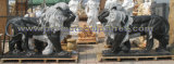 Stone Granite Marble Lion Sculpture for Garden Animal Statue (SY-D229)