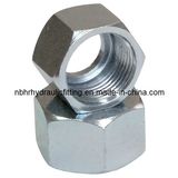 Hex Nuts (HR-53)