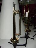 Bugle/Double Youth Horn (HTL-678)