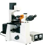 Inverted Fluorescence Microscope (MF51) 