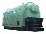 Coal-Fired Steam Boiler