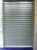 Fixed Shutter Window (100)