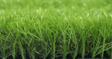 Artificial Turf for Residential Landscaping (40L59Y33G2-B)