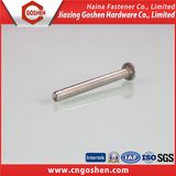 A307 Round Head Square Neck Carriage Bolt