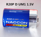 R20 Size Battery Factory