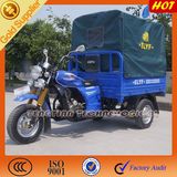 Tricycle with Cargo Truck