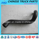 Radiator Inlet Pipe for Shacman Truck Spare Part (DZ9112538062)