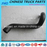 Radiator Inlet Pipe for Shacman Truck Spare Part (DZ9112538062)