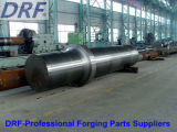 Forging Shaft (Large axis forging Gear forgings)