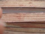 Marine Grade Brown Film Faced Plywood with Poplar Core