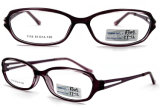 2012 New Models of Glasses Frames Spectacles Frame Famous Brands Glasses Frame Tr90 Optical Eyewear (BJ12-029)