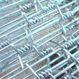 Single Twist Barbed Wire Fencing