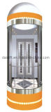 ISO and SGS Certified Sightseeing Elevator (DAIS-505A)