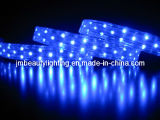 LED Strip Light 3 Wires LED Rope Light (Flat Shape)