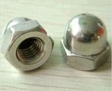 S31008 / 310S Stainless Steel Fastener DIN1587 Hex Acorn Nuts M6-M64