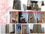 2*2t Construction Building Lift / Hoist / Elevator