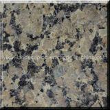 China Granite Golden Grain for Wall Decoration (CS-13)