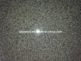 Polished Light Grey Granite for Flooring Tile