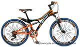 MTB Bike (24MTB1501)