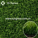 Synthetic Turf for Landscape or Recreation (QDS-20-35)