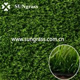 Synthetic Turf for Landscape or Recreation (QDS-20-35)