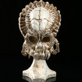 Artificial Resin Crafts Apex-Predator Skulls Home and Holiday Decoration