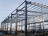 Light Steel Structure for Workshop/Warehouse with SGS Certification / ISO353