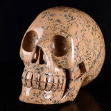 Natural Chuhua Jasper Carved Skull Carving #7h77, Crystal Healing