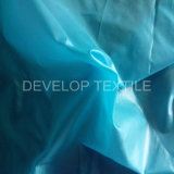 420t Nylon Fabric/Polyamide Fabric for Down Bag Fabric (DN2003)