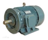 Y2/Y AC Motor Three Phase Asynchronous Electric Motor