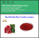 Food & Drink Natural Pigment Red Radish Red (Anthocyanins)