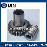 Custom Worm Gear, High Precision Brass Spur Gear