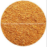 Yellow Millet in Husk (Shanxi Origin)